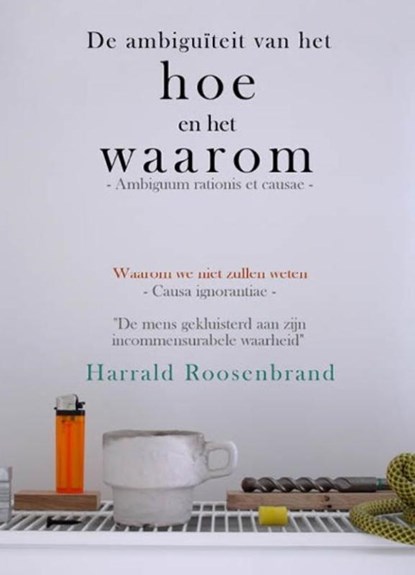 De ambiguïteit van het hoe en het waarom, Harrald Roosenbrand - Paperback - 9789492247186
