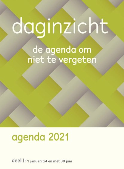 Daginzicht Agenda 2021, SAAM UItgeverij ; Stichting DoeMaarZo! - Overig - 9789492261595