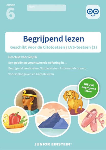 Begrijpend lezen Groep 6 Oefenboek (1), niet bekend - Paperback - 9789492265593