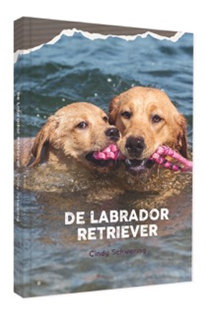 De Labrador Retriever, Cindy Schwering - Gebonden - 9789492284044