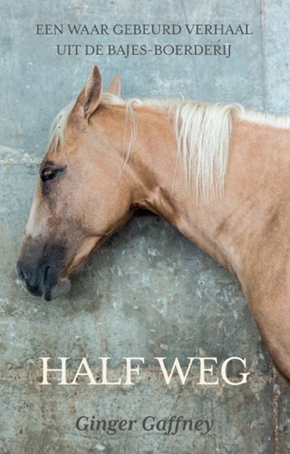 Half Weg, Ginger Gaffney - Paperback - 9789492284136