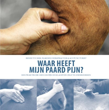 Waar heeft mijn paard pijn?, Renee Tucker - Paperback - 9789492284235