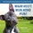 Waar heeft mijn hond pijn?, Renee Tucker - Gebonden - 9789492284259