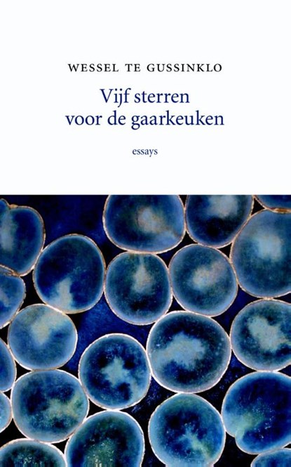 Vijf sterren voor de gaarkeuken, Wessel te Gussinklo - Paperback - 9789492313096