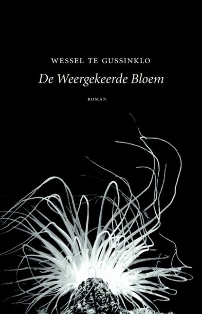 De weergekeerde bloem, Wessel te Gussinklo - Paperback - 9789492313256