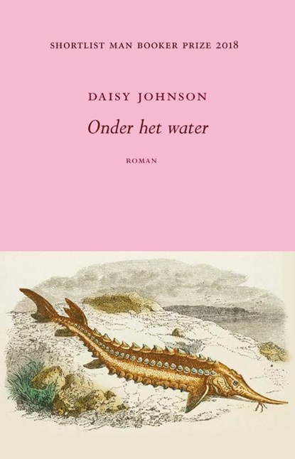 Onder het water, Daisy Johnson - Paperback - 9789492313744