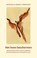Het leven beschermen, Peter Selg ; Sergej O. Prokofieff - Paperback - 9789492326287