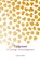 Tijdgenoot, Rudolf Steiner - Paperback - 9789492326485