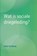 Wat is sociale driegeleding?, Peter Schilinski - Paperback - 9789492326843