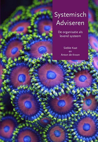 Systemisch adviseren, Siebke Kaat ; Anton de Kroon - Ebook - 9789492331182