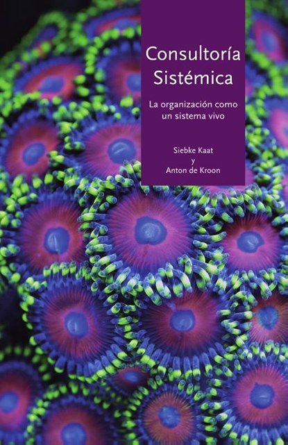 Consultoria Sistemica, Siebke Kaat ; Anton de Kroon - Paperback - 9789492331915