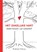 Het zakelijke hart, Madeleine Boerma - Paperback - 9789492383037
