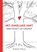 Het zakelijke hart, Madeleine Boerma - Paperback - 9789492383037
