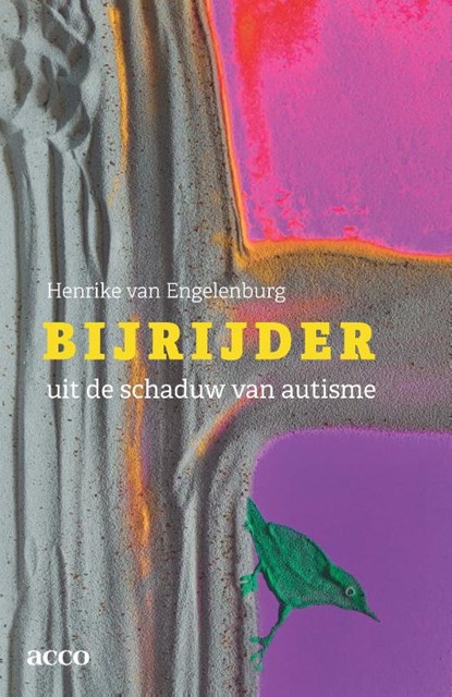 Bijrijder, Henrike van Engelenburg - Paperback - 9789492398703