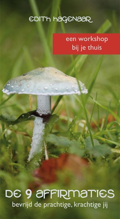De 9 Affirmaties, Edith Hagenaar - Luisterboek MP3 - 9789492412065