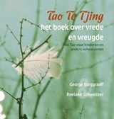 Tao Te Tjing, het boek over vrede en vreugde - Roeland Schweitzer - 9789492421951