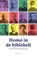 Homo in de biblebelt, Christine Stam ; Ineke de Jong - Paperback - 9789492433909