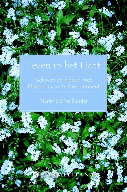 Leven in het licht, Martine D' Hollander - Paperback - 9789492434104