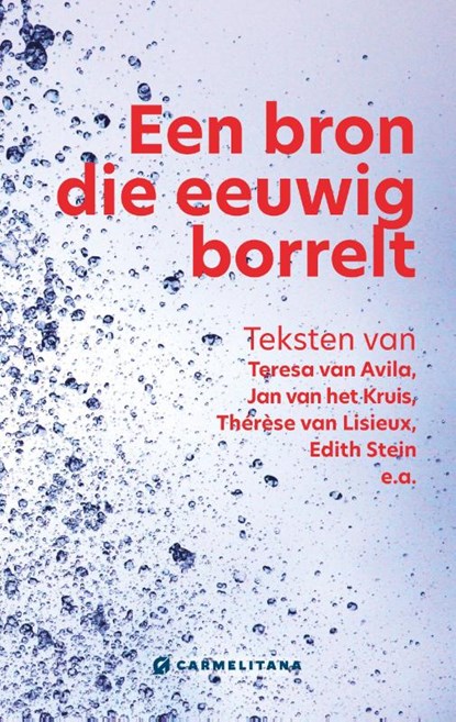 Een bron die eeuwig borrelt, Geert Schiettecatte - Paperback - 9789492434432