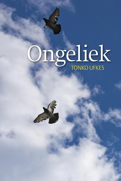 Ongeliek, Tonko Ufkes - Paperback - 9789492457172