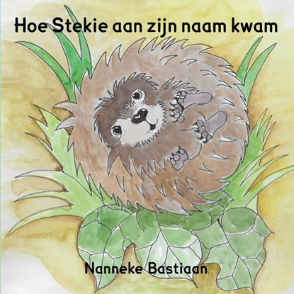 Hoe Stekie aan zijn naam kwam, Nanneke Bastiaan - Paperback - 9789492469137
