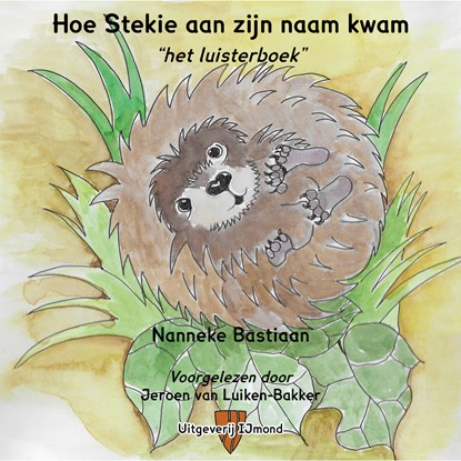 Hoe Stekie aan zijn naam kwam, Nanneke Bastiaan - Luisterboek MP3 - 9789492469236