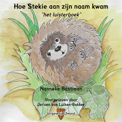 Hoe Stekie aan zijn naam kwam, Nanneke Bastiaan - Luisterboek MP3 - 9789492469236