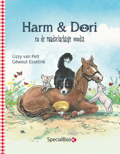 Harm & Dori en de raadselachtige vondst, Lizzy van Pelt - Gebonden - 9789492482969