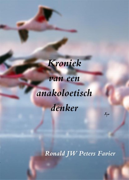 Kroniek van een anakoelitisch denker, Ronald Jw Peters Favier - Paperback - 9789492519498