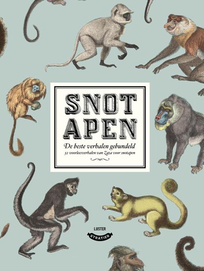 Snotapen (bundeling Snotapen1&2), Klaas Storme - Gebonden - 9789492533517