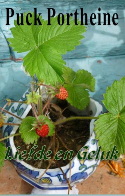 Liefde en geduld, Puck Portheine - Gebonden - 9789492575166