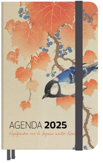 Agenda 2025, Studio Colori - Gebonden - 9789492598141