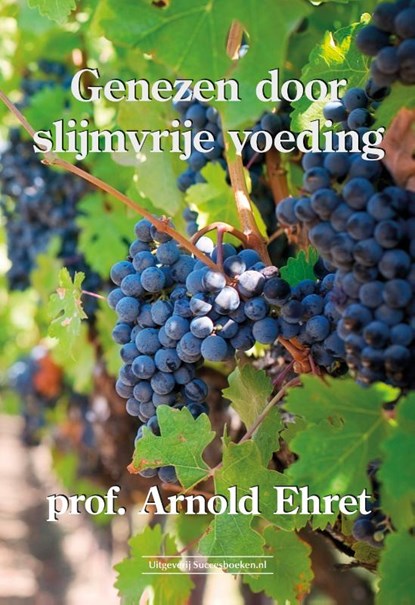 Genezen door slijmvrije voeding, Arnold Ehret - Paperback - 9789492665799
