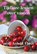 Tijdloze lessen over vasten, Arnold Ehret - Paperback - 9789492665928