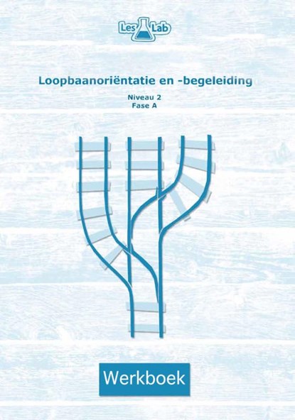 Loopbaanoriëntatie en -begeleiding niveau 2 fase A Werkboek, Stijn van Oers ; Margriet Philipsen - Paperback - 9789492667014