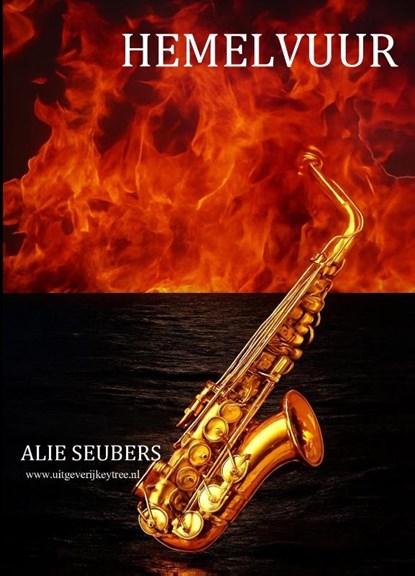 Hemelvuur, Alie Seubers - Paperback - 9789492719751