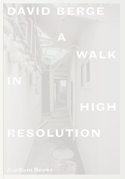 David Bergé. A Walk in High Resolution, David Bergé ; Marcelo Rezende ; Dieter Roelstraete - Paperback - 9789492852229