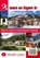 Wonen en kopen in Oostenrijk, Peter Gillissen - Paperback - 9789492895080