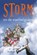 Storm en de voetbalgoden, Jan Birck - Gebonden - 9789492899538