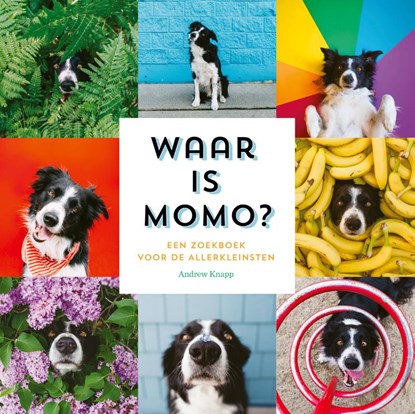 Waar is Momo?, Andrew Knapp - Gebonden - 9789492899682