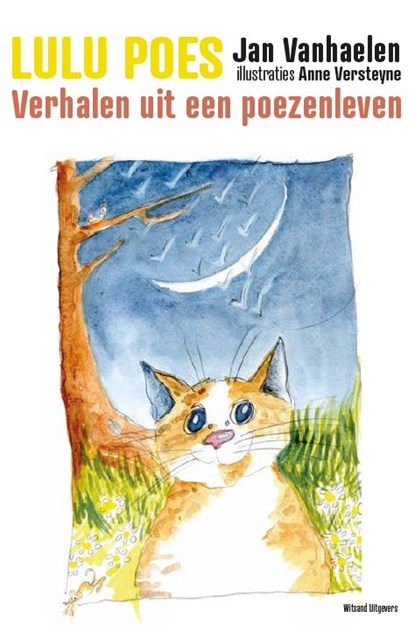 Lulu Poes, Jan Vanhaelen - Gebonden - 9789492934536