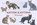 Katten & Kittens, M. George - Losbladig - 9789492938138