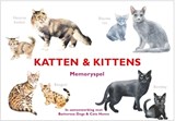 Katten & Kittens -  - 9789492938138