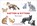 Katten & Kittens, M. George - Losbladig - 9789492938138