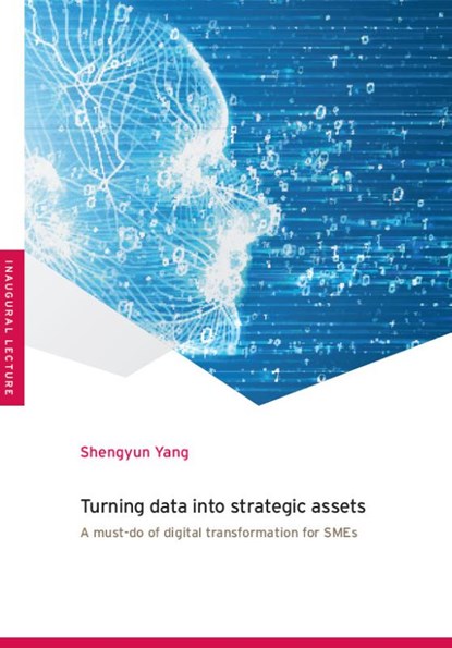 Turning Data into Strategic Assets, Shengyun Yang - Paperback - 9789493012134