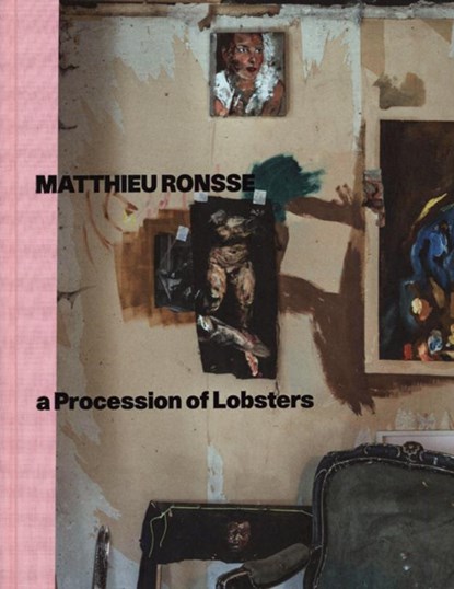 Matthieu Ronsse, Maarten Inghels - Gebonden - 9789493039254