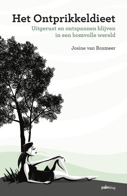 Het ontprikkeldieet, Josine van Boxmeer - Paperback - 9789493059016