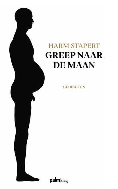 Greep naar de maan, Harm Stapert - Paperback - 9789493059085