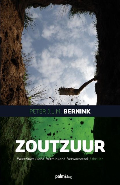 Zoutzuur, Peter J.L.M. Bernink - Paperback - 9789493059306