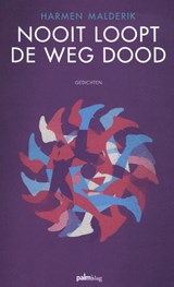 Nooit loopt de weg dood - Harmen Malderik - 9789493059771